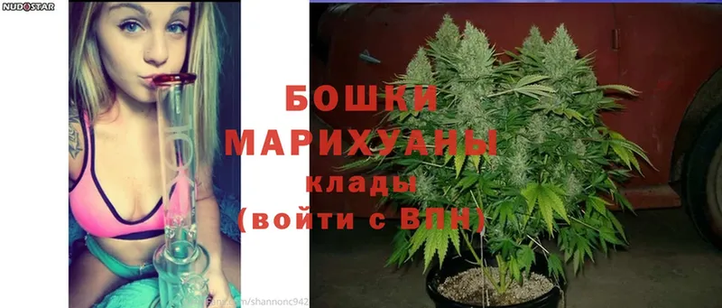 hydra маркетплейс  Кудрово  Бошки марихуана OG Kush 